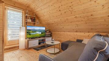 Télévision, cheminée, chaßne hi-fi