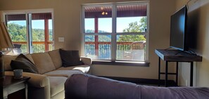 Smart TV, lareira, videogames, livros