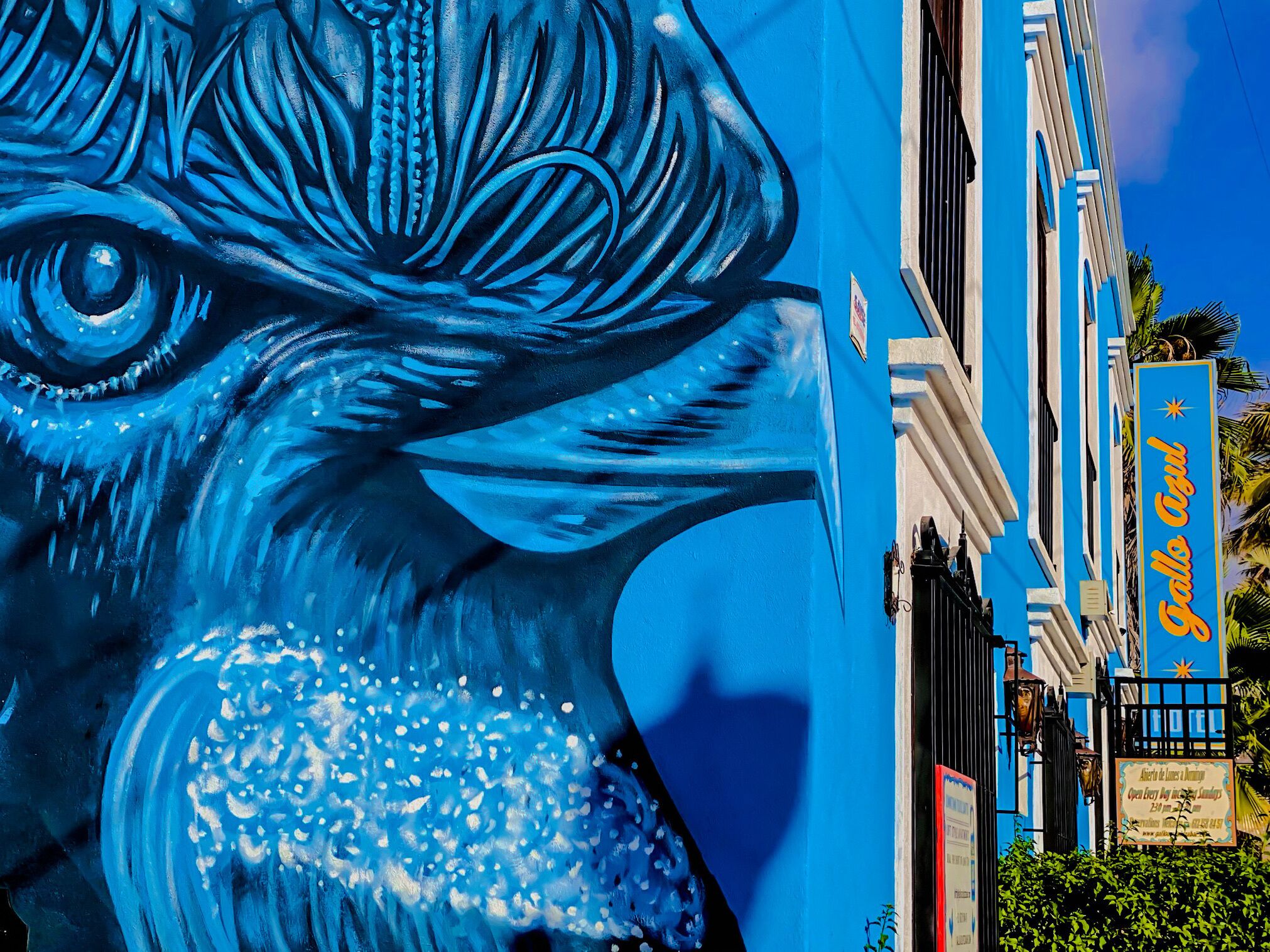 La façade d’un immeuble est ornée d’une grande fresque représentant un oiseau bleu et d’une enseigne indiquant « Hôtel Bahia ».