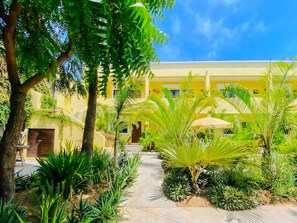 Interior - Hotel Gallo Azul Downtown Todos Santos (Todos Santos)