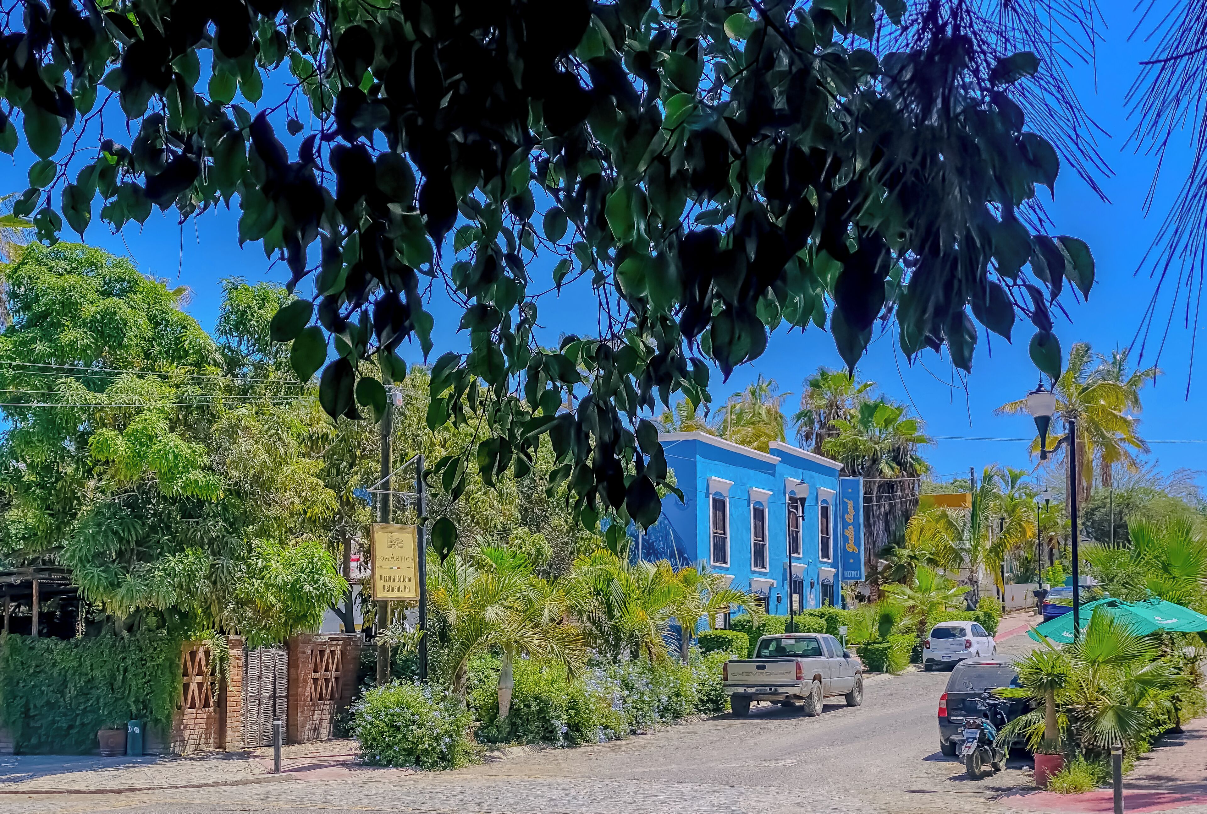 A street with parked cars, a blue building, and lush greenery.