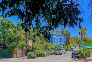 Una calle con coches aparcados, un edificio azul y abundante vegetación.