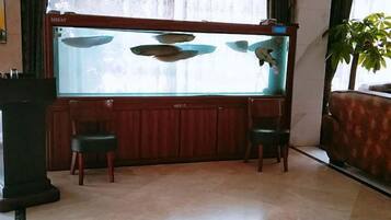 A room with a large fish tank, two chairs, a wooden cabinet, and a potted plant.