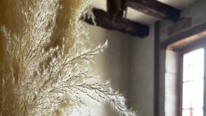 Une pièce avec un canapé foncé, un vase contenant de l’herbe des pampas et une fenêtre laissant entrer la lumière naturelle.