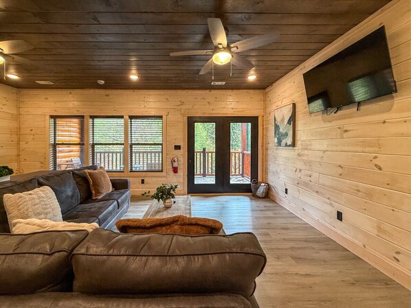 TV, lareira, videogames