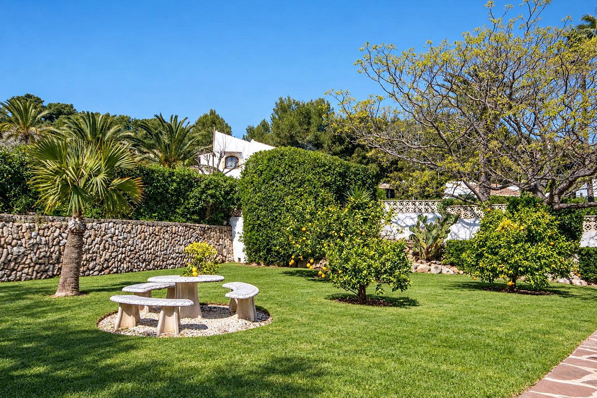 A well-maintained garden with a stone wall, a palm tree, and a small tree with yellow flowers.