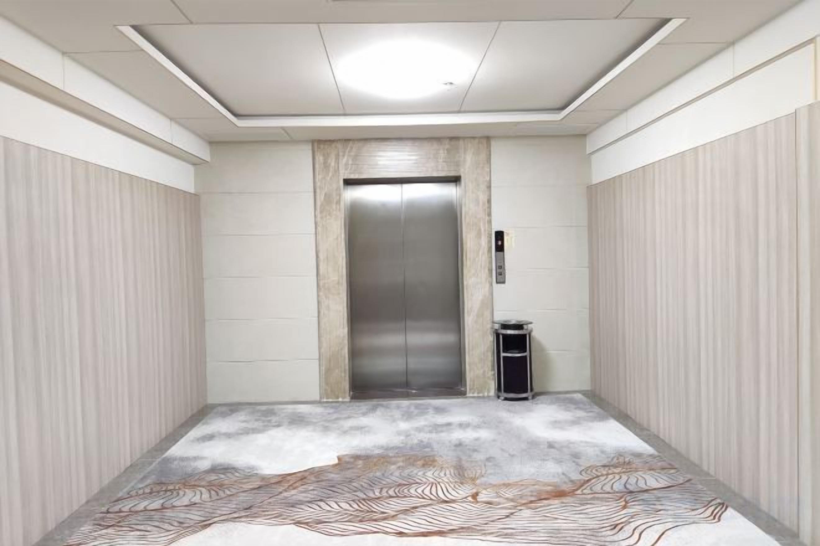 Un ascenseur moderne avec une finition métallique, un tapis à motifs et un panneau de commande fixé au mur.