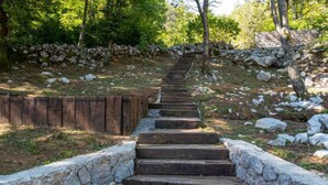 A stone staircase leading uphill in a natural setting with trees and rocks.