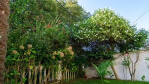 A garden with a variety of plants and a small palm tree. - Chiquito by Interhome (Biarritz)
