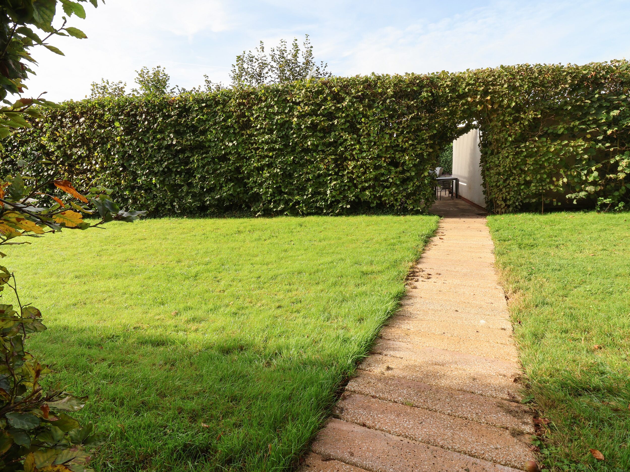 A well-maintained grassy area with a concrete path leading to a building.