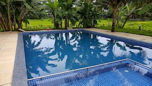 A rectangular swimming pool with blue tiles, surrounded by a concrete deck and lush greenery. - O'NEST Countryside (Murud)