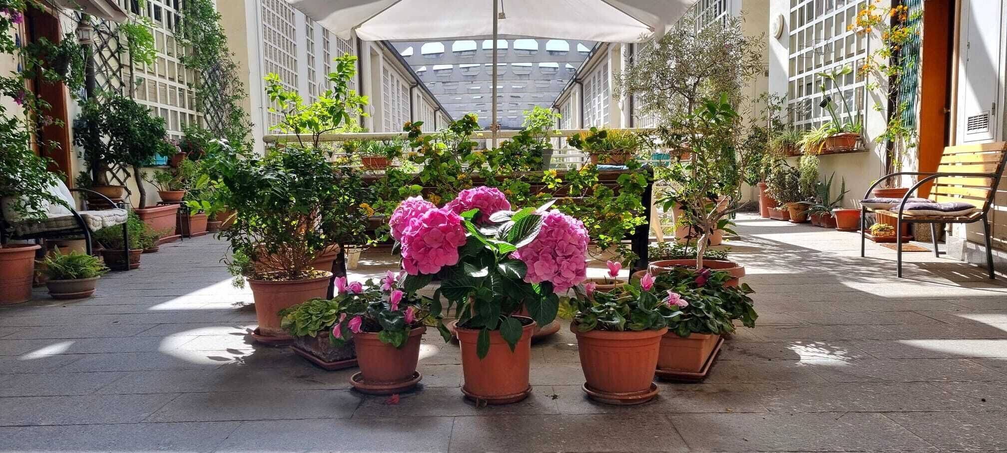 Terras