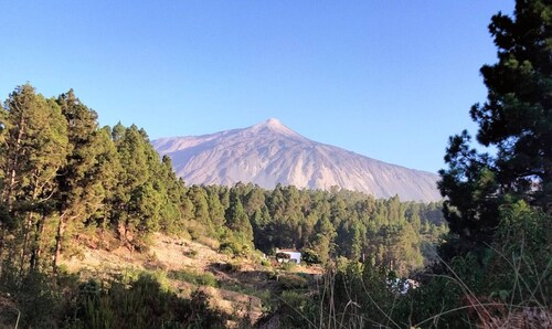 Finca 'Casa Regina' with Private Pool, Private Terrace and Wi-Fi