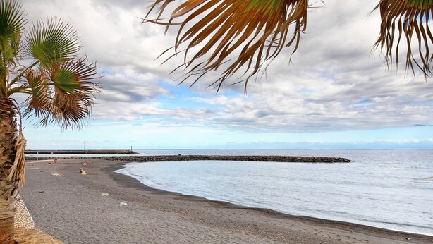 A beach with a stone wall, palm trees, and a calm sea. - Vacation Apartment 'Beach Front Puertito' with Shared Pool, Private Terrace and Wi-Fi (Güimar)