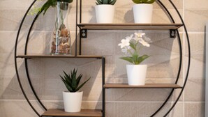 Estante circular de pared con varios compartimentos, cada uno con una planta en maceta.