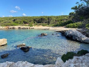 A coastal landscape with clear water, rocky shore, and dense greenery.