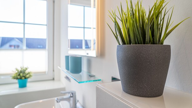 A bathroom with a potted plant on a counter, a window with a view, and a small plant on the windowsill. - Appartement Dünenglück (Wenningstedt-Braderup (Sylt))
