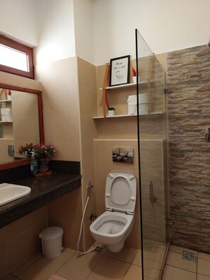 Casa de banho com cabine de duche em vidro, sanita, lavatório e espelho.
