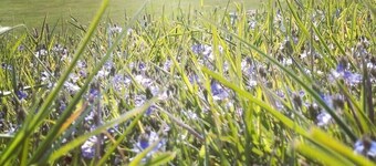 En Suite Glamping Pod, Sleeps 2 adults and 2 children, dog friendly.