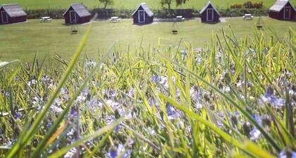 En Suite Glamping Pod, Sleeps 2 adults and 2 children, dog friendly.