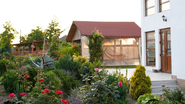 Una casa moderna con jardín delantero, destacando una variedad de plantas y flores.