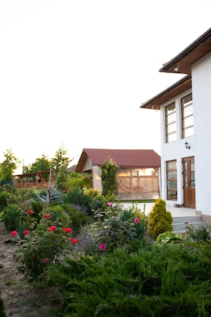 Exterior. Paradiso, 20 rooms, max 55 persons, swimming pool, in the heart of Danube Delta