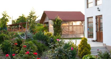 Paradiso mit Swimmingpool, im Herzen des Donaudeltas, 20 Zimmer, max 51 Personen