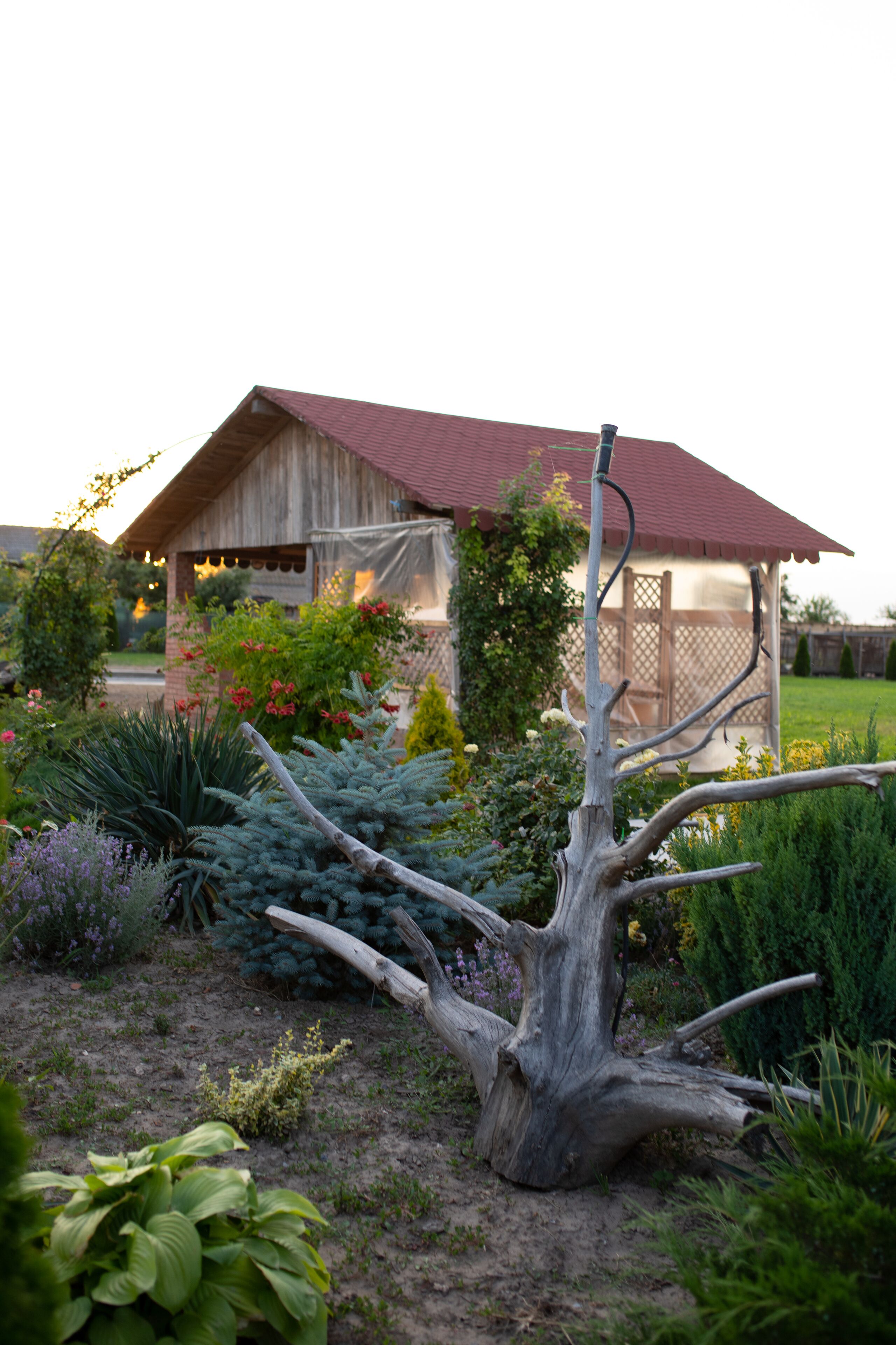 Overnattingsstedets uteområder