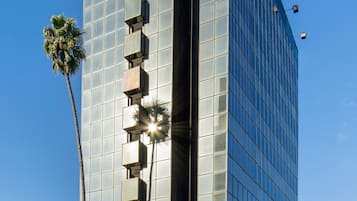 Um edifício moderno de vidro com fachada refletora, uma palmeira na frente e um céu azul claro.