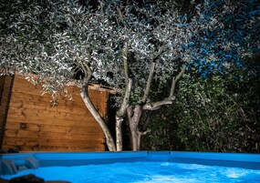 Una piscina con plataforma de madera y un árbol al fondo.