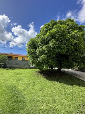 Property grounds - Appart Bellissima Calme Paisible Entouré de Verdure (Baie-Mahault)