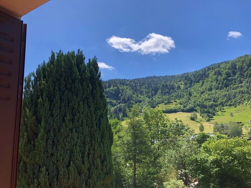 Charmante maison 10 pers. au cœur des Hautes-Vosges - Cheminée, WiFi, Billard