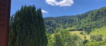 Charmante Maison 10 Pers. au Cœur des Hautes-vosges - Cheminée, Wifi, Billard