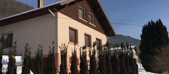 Charmante Maison 10 Pers. au Cœur des Hautes-vosges - Cheminée, Wifi, Billard