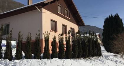 Charmante Maison 10 Pers. au Cœur des Hautes-vosges - Cheminée, Wifi, Billard