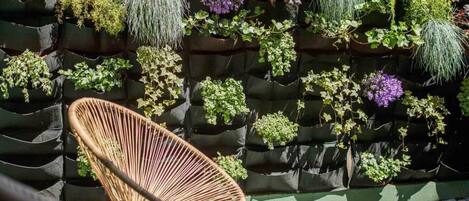 Áreas de la propiedad