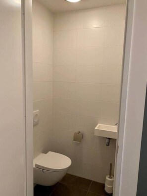 Ducha, secador de pelo y toallas