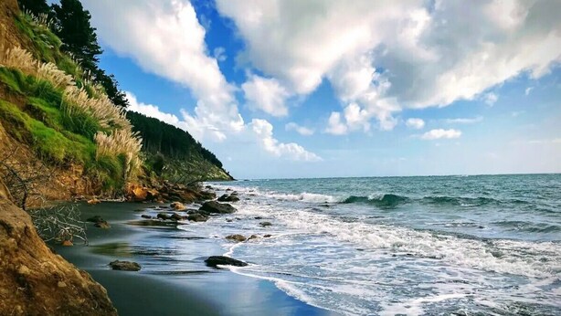 A coastal beach with rocky terrain and waves crashing onto the shore. - Little Aotea bach with sea views (Kawhia)