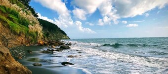 Little Aotea bach with sea views
