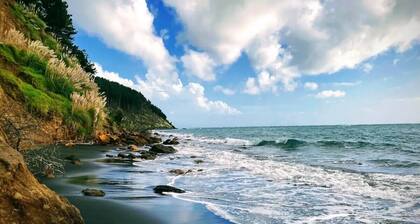 Little Aotea bach with sea views