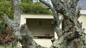 Un árbol con ramas cubiertas de líquenes enmarca un edificio con una banca y una pequeña mesa.