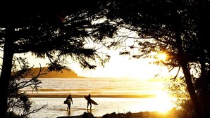 Ein Strandbild mit zwei Personen, die Surfbretter tragen, Bäumen und der untergehenden Sonne über dem Meer.