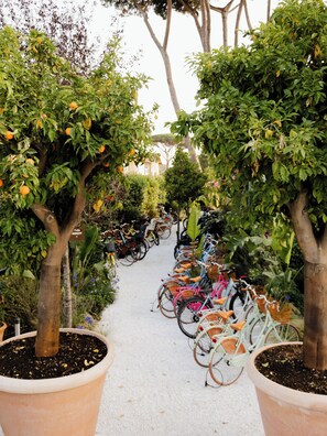 Bicycling - La Serena Hotel (Forte dei Marmi)