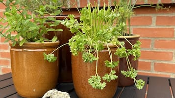 Detalle del exterior