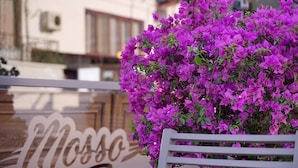 A white chair with a large, purple flower arrangement in front of a sign with the word "Moss" in cursive. - Mosso Boutique Hotel (Ula)