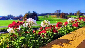 Un giardino con fiori rossi e bianchi davanti a una ringhiera di legno.