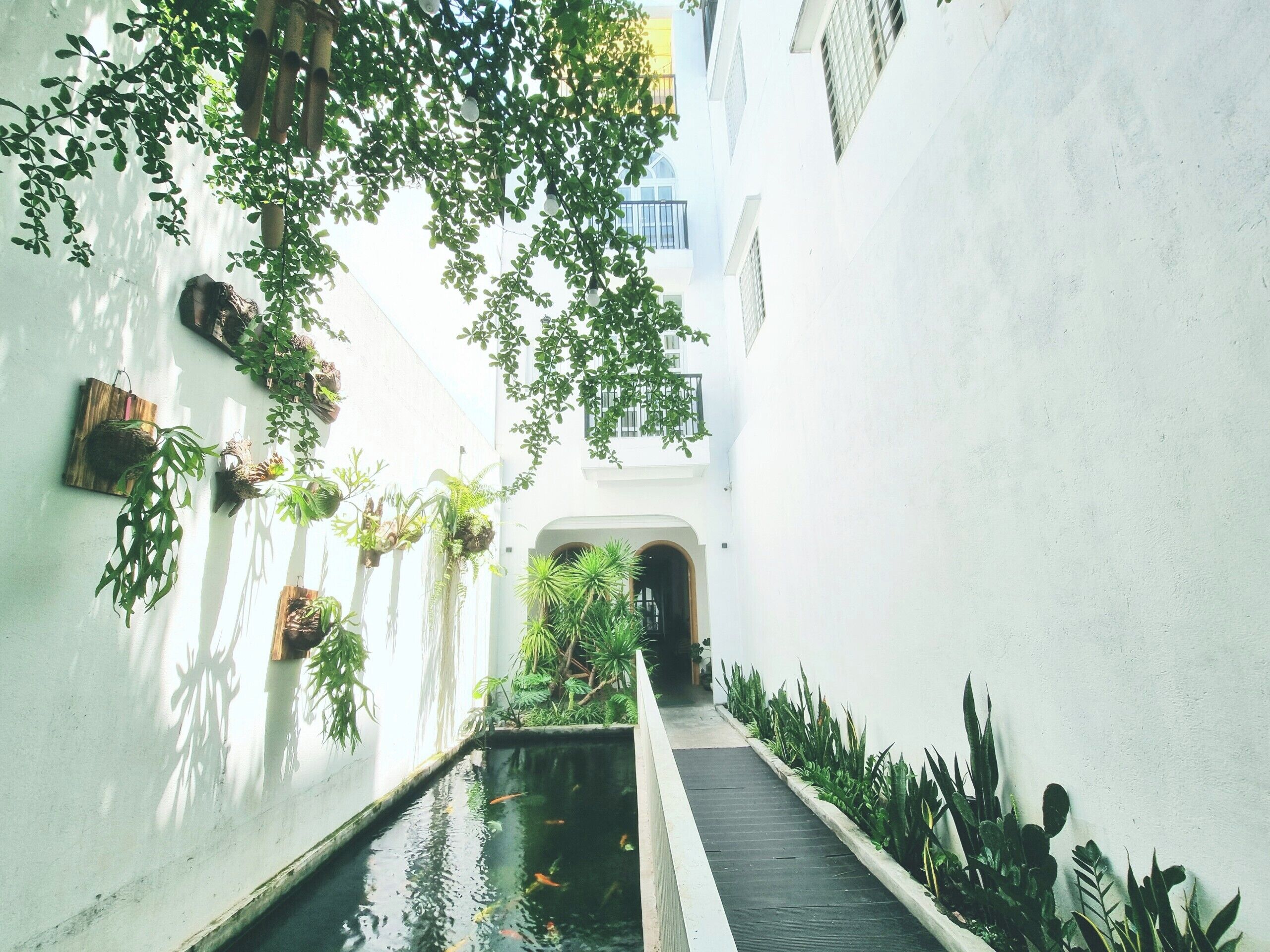Un estrecho callejón con una fuente, plantas colgantes y la entrada de un edificio.