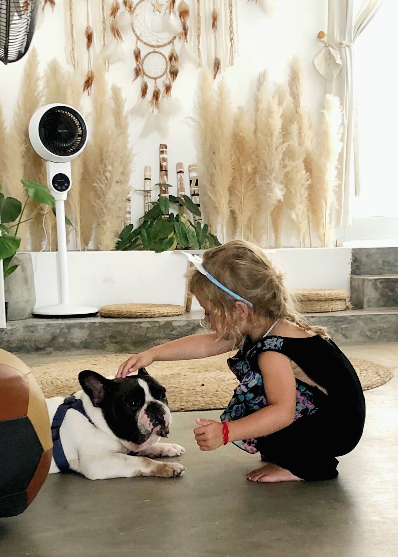 Ein Kind streichelt einen Hund in einem Zimmer mit weißem Boden, einem Traumfänger und einem stehenden Ventilator.