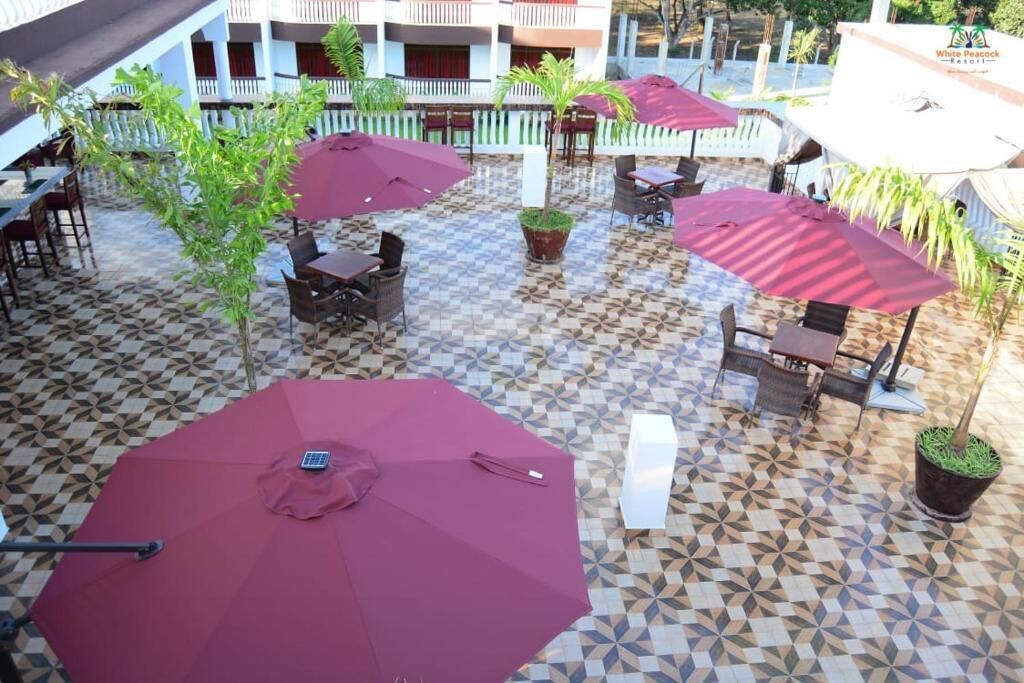 Un patio al aire libre con varias mesas y sillas, rodeado de macetas con plantas y sombrillas.