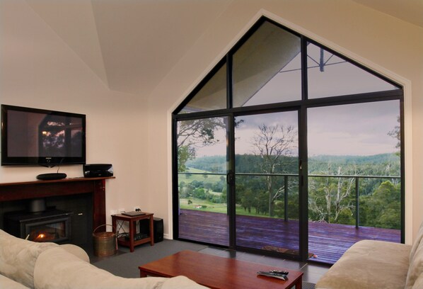 TV, fireplace, DVD player, books